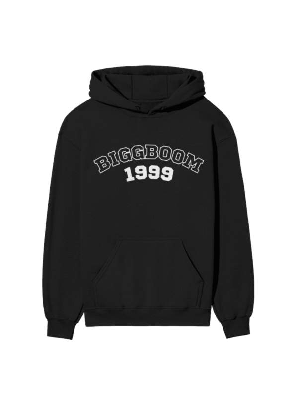 BiggBoom Hooded SweatShirt