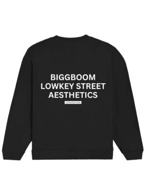 | BiggBoom 