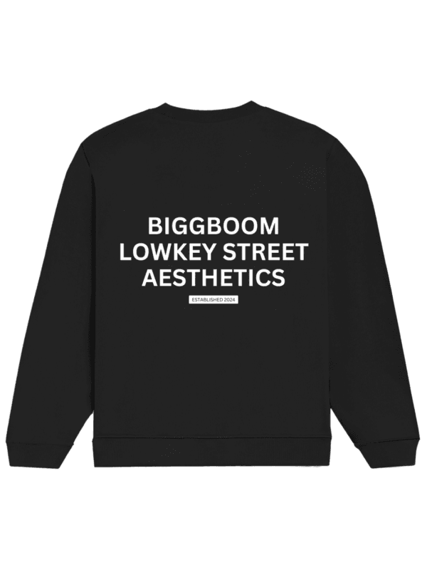 | BiggBoom 