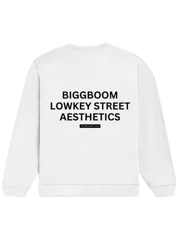 | BiggBoom 