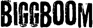 BiggBoom Logo