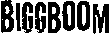 | BiggBoom BiggBoom Logo
